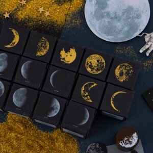 Lunar Chronicles Series - Wooden Rubber Stamps